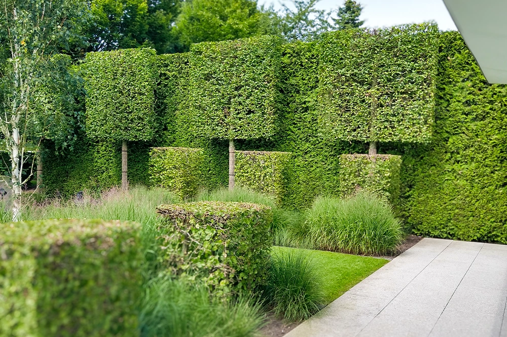 IndigaGärten Gartenpflege Heckenpflege
